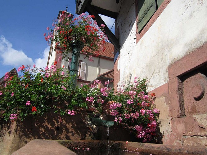 Village typique, Oberbronn, Alsace