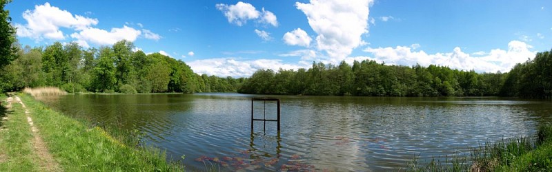 Etang des princes Hirtzbach