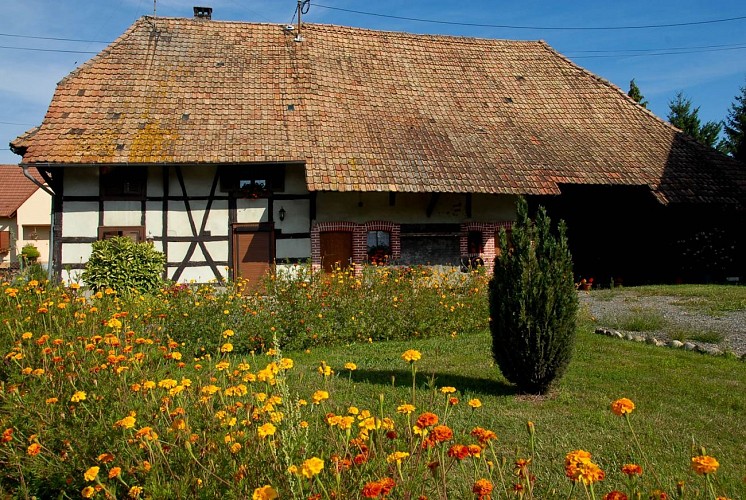 Maison à colombages