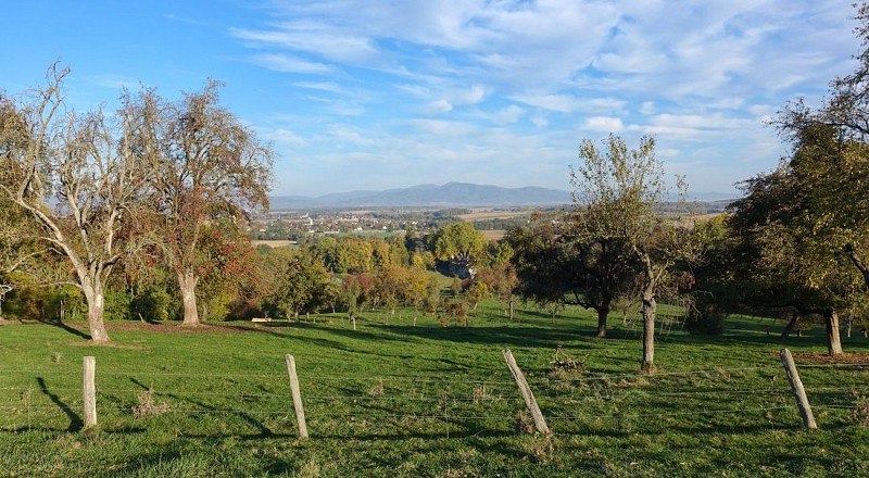 Panorama depuis le buckberg vers Heidwiller et les vosges