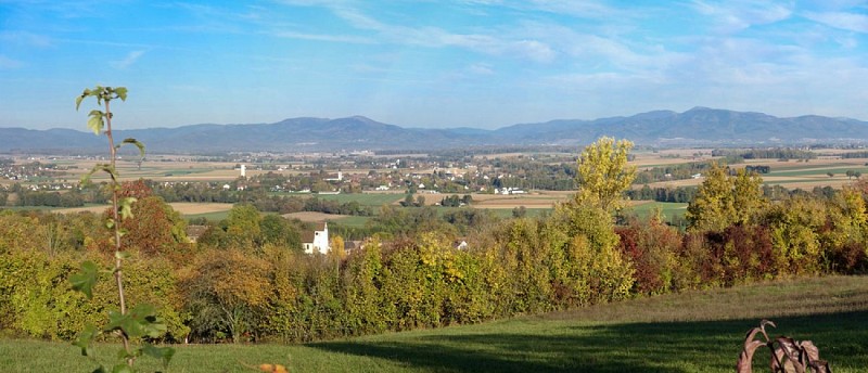 Panorama Vosges ; Hauenwald