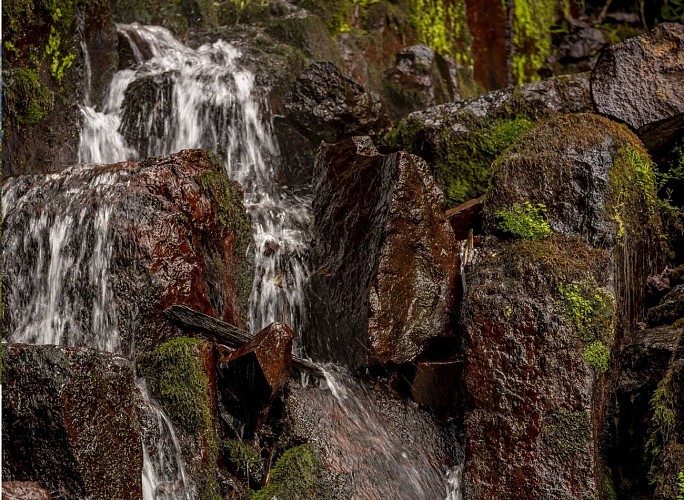 Rundwanderung CDF14 : Der Wasserfall Hohwald und das Tal von Andlau
