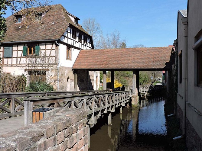 Piste cyclable Canal Coulaux à Molsheim
