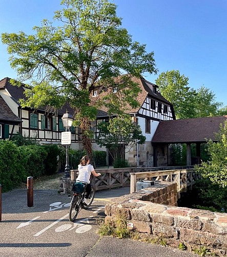 To visit Molsheim with a bike