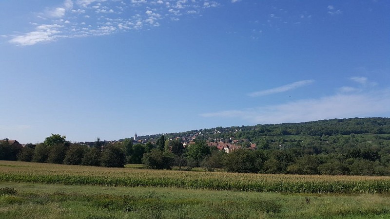 Wanderung vom Bischenberg