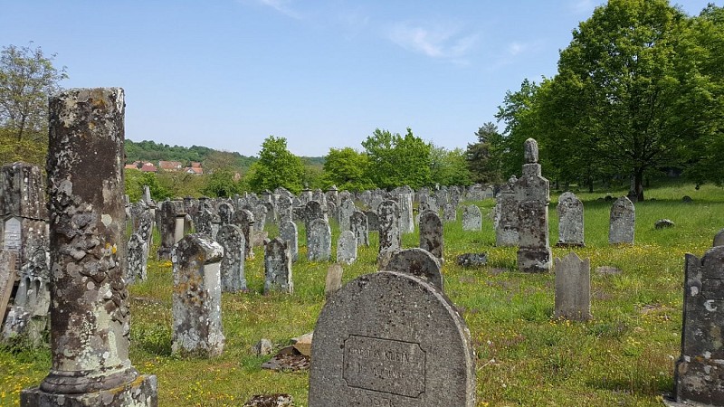 Wanderung vom Westerberg