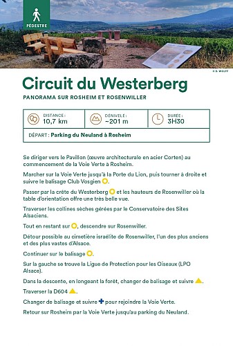 Wanderung vom Westerberg