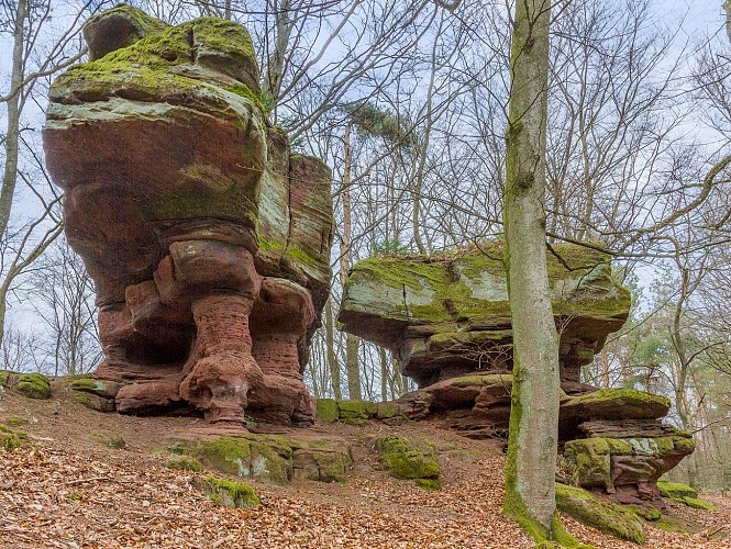 Rocher de l'Englishberg