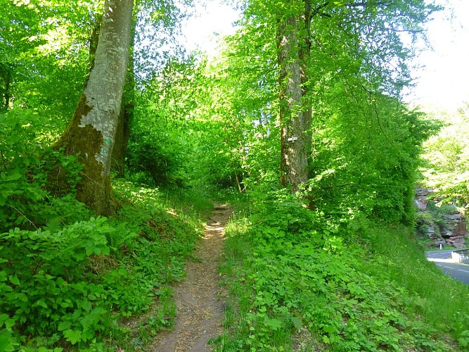 Grimper ce sentier vers le Rocher de la Grenouille