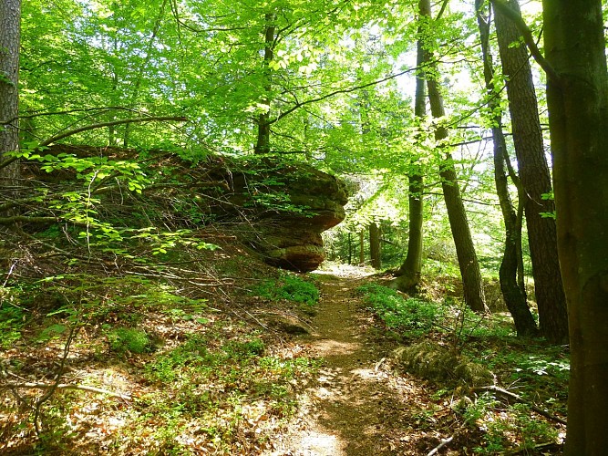 Le sentier contourne quelques rochers isolés