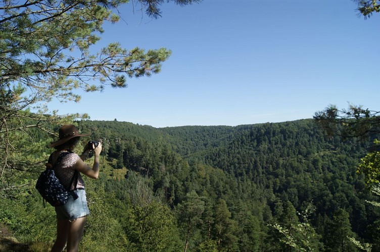 Sentier d’Imsthal au Loosthal