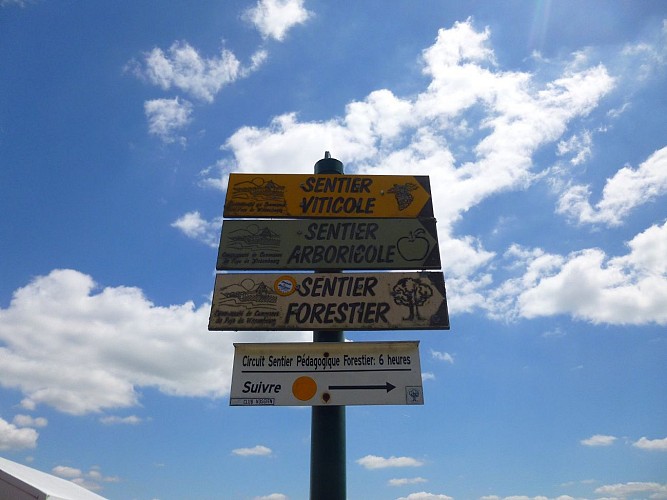 Suivre le panneau 'sentier viticole'