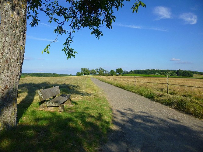 Il y a beaucoup de bancs pour se reposer ou admirer la vue sur Cleebourg