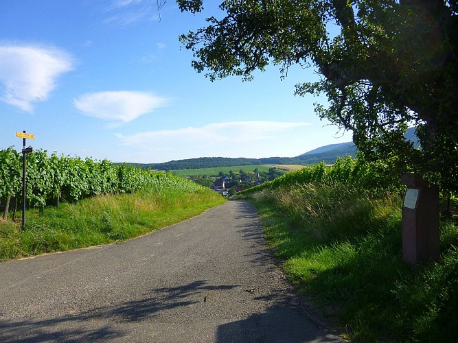 Ici, continuer tout droit, puis prendre à gauche à l'intersection suivante