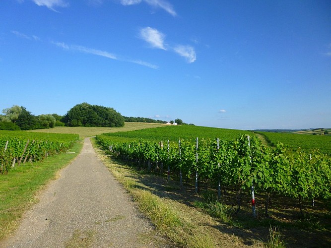 Plus loin, le refuge et une table de pique-nique