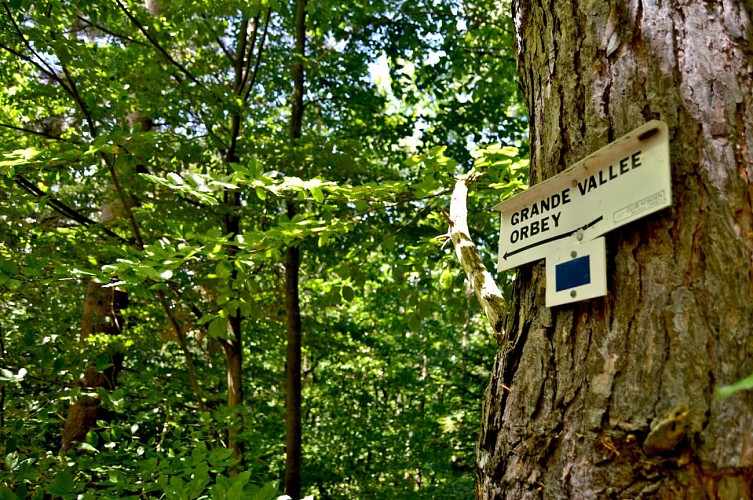 Hiking tour - Orbey, the great valley