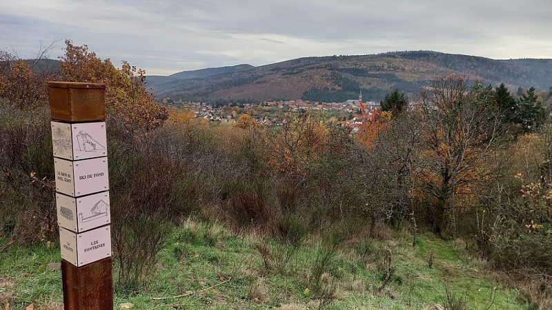 Lehrpfad „Im Reich der Holzfäller“