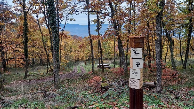 The Loggers’ Trail