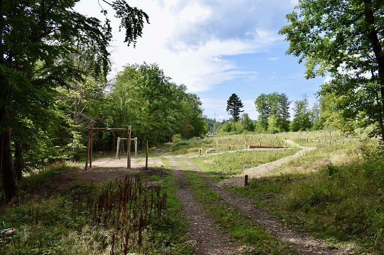 Parc de la forêt