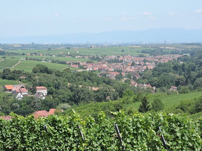 Search for magic words - Soultz les Bains