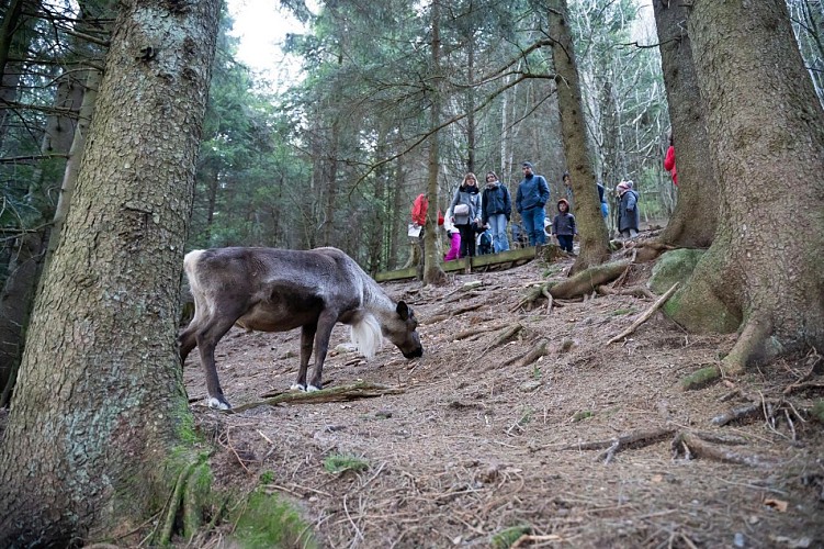 Entdeckungswanderung zur Ferme aux Rennes auf dem Schantzwasen