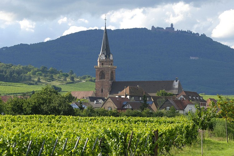 BL241 - Castles and vintage wines