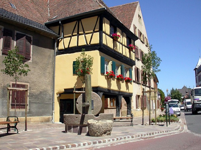 Historical walk through the city