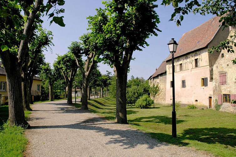 Historical walk through the city