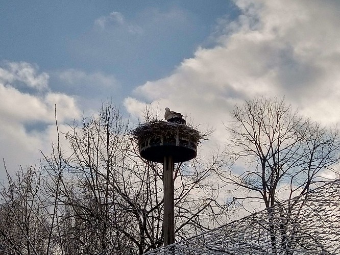 Historical walk through the city