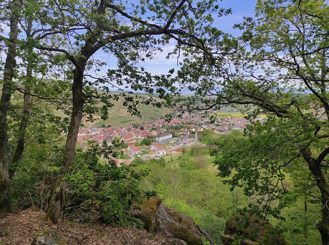 Familienwanderung: Rund um RimbachZell und Sainte Anne
