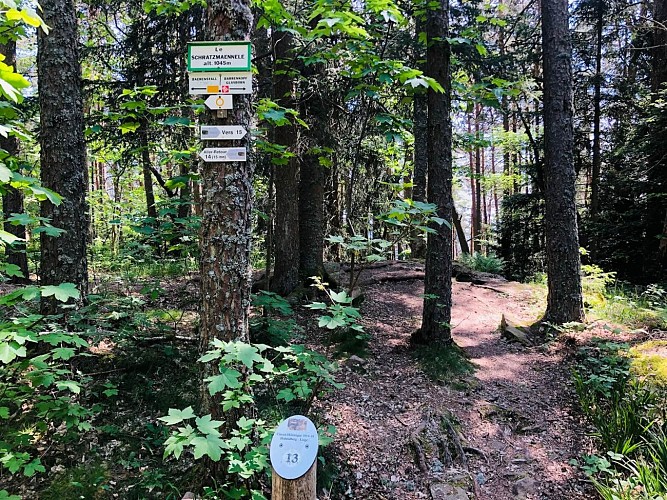 Wanderung - von den zitternden Steinen bis zum Lingekopf