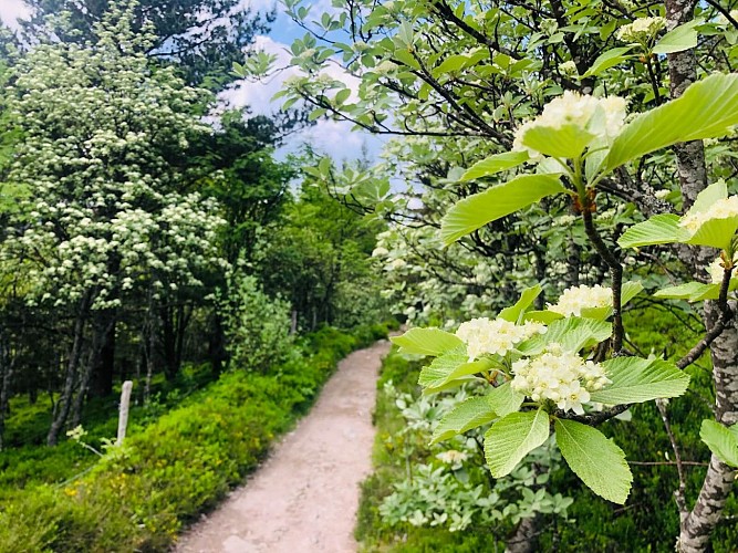 Hiking tour - from the trembeling stones to the Linge