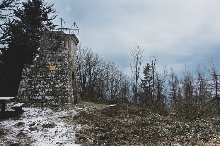 Wandern - Rundweg Albéville und Ungersberg