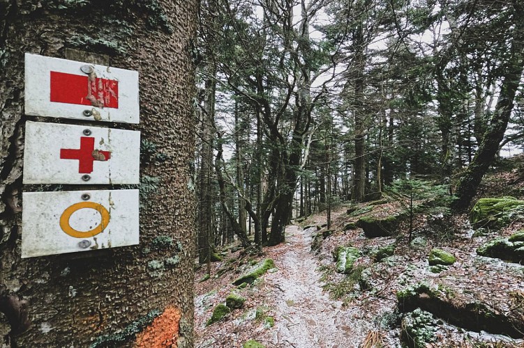 Wandern - Rundweg Albéville und Ungersberg