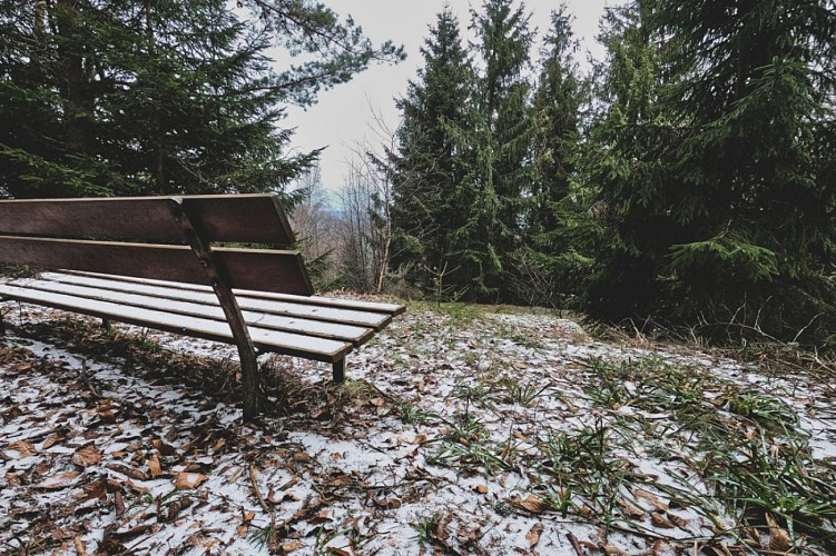 Wandern - Rundweg Albéville und Ungersberg