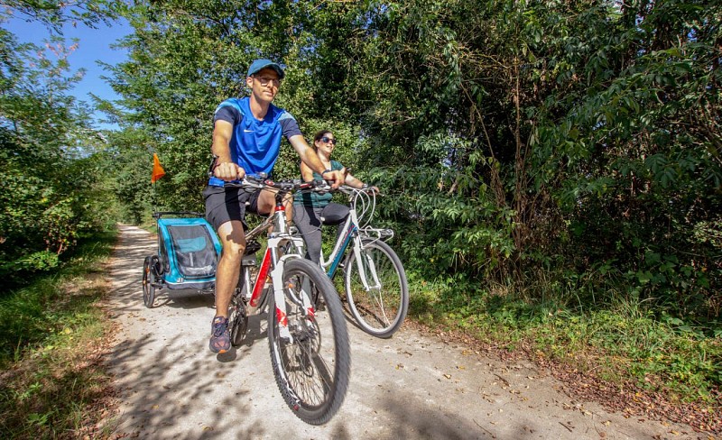 Auf den Spuren von Vauban und Schoelcher - Von Neuf-Brisach bis Fessenheim