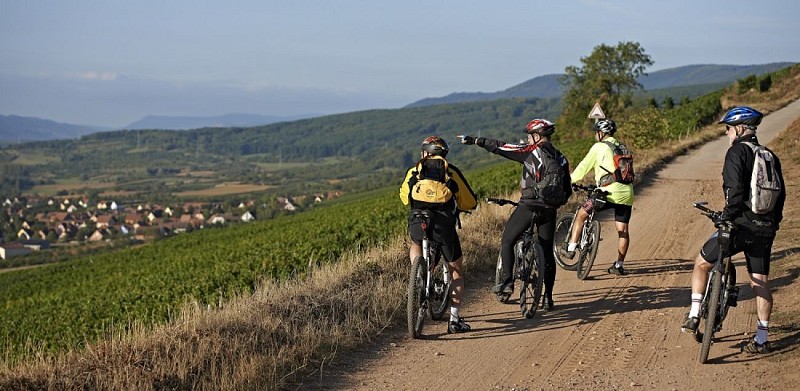 Moutainbike Stecke 10 "Goeftberg"