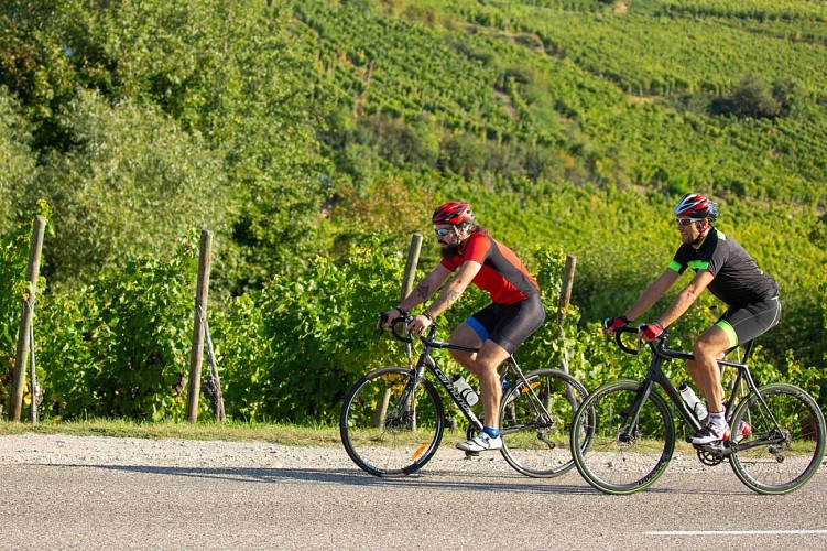 Fahrradweg – Die Straße der Talschlösser