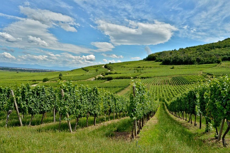 Cyclo circuit - The valley castles route