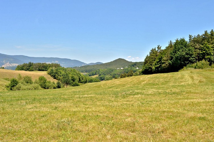 Wanderung - von Orbey nach Labaroche über die Burg Hohnack