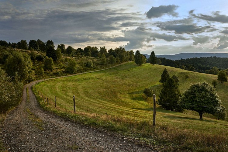 Ban de la Roche farmhouse restaurant trail: an encounter with a castle...