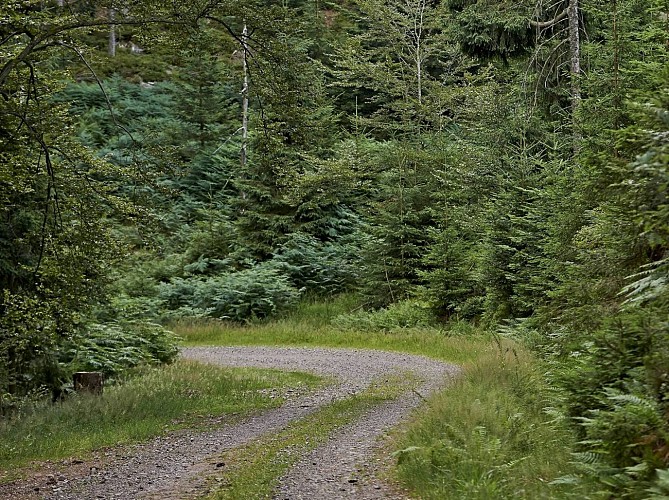 Circuit poussettes 4x4 C03 : la vallée de la Falle