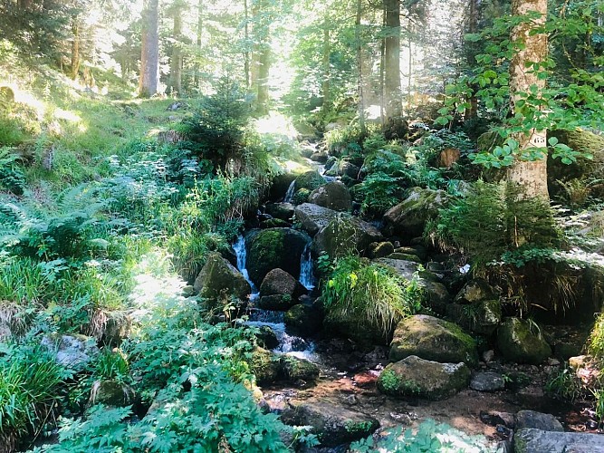 Hiking tour - the Rudlin waterfall by the Gazon du Faing
