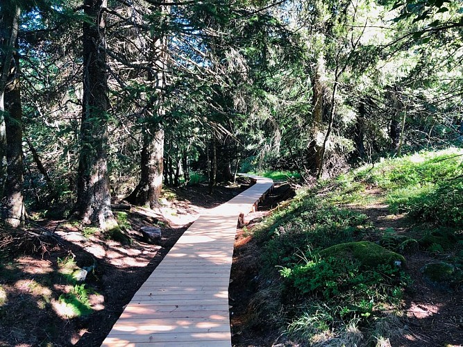Hiking tour - the Rudlin waterfall by the Gazon du Faing