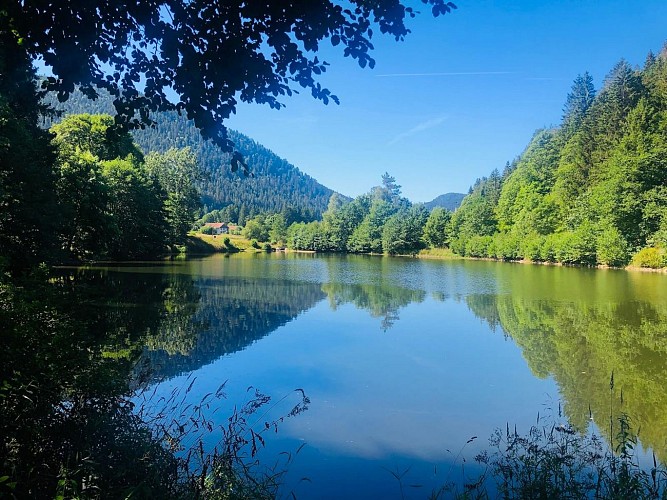 Circuit rando - la cascade du Rudlin  par le Gazon du Faing