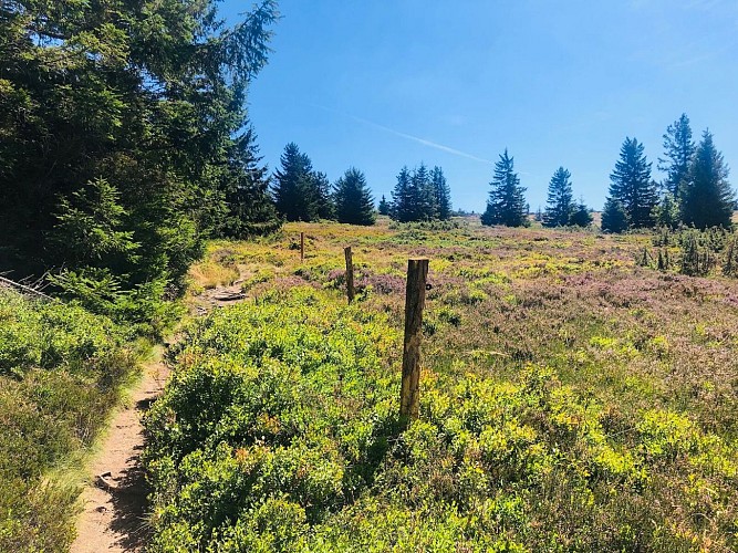 Circuit rando - la cascade du Rudlin  par le Gazon du Faing