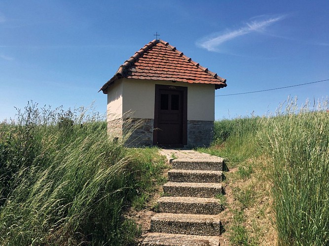 La Forêt d'Exception® de Haguenau - N°14 : Die große Haguenau-Eschbach Tour