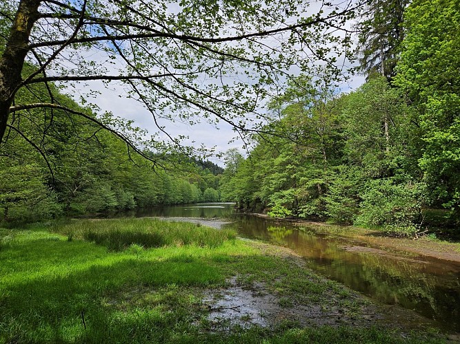 Etang du Donnenbach