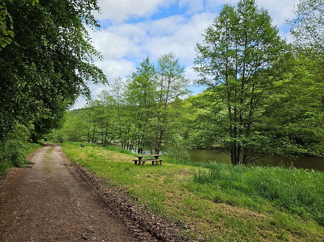 Etang du Donnenbach