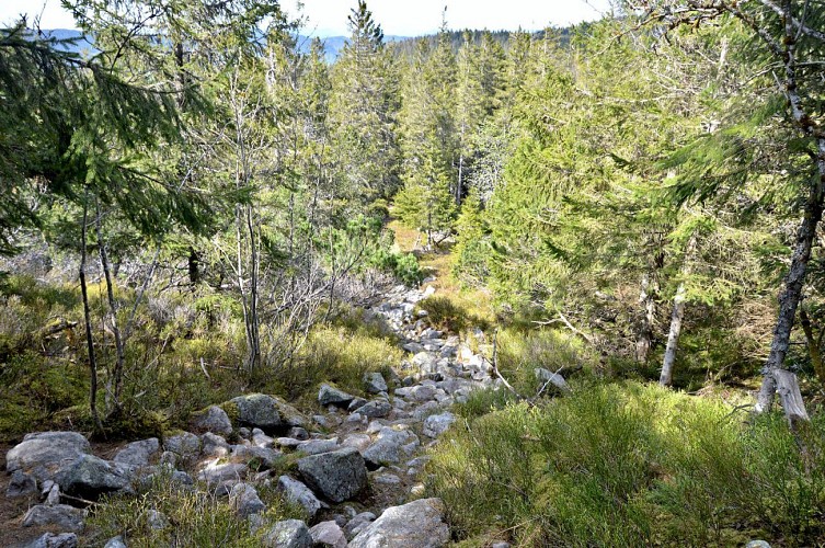 Etappenwandern - Die große Tour durch das Tal - Etappe 4